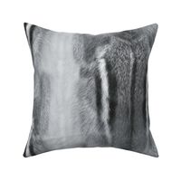 Large Cool gray Photorealistic Chipmunk fur texture