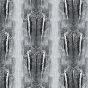 Cool gray Photorealistic Chipmunk fur texture