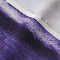 Large Purple Photorealistic Chipmunk fur texture