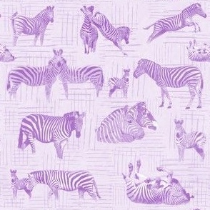 Zebra print purple