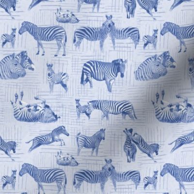 Zebra print blue