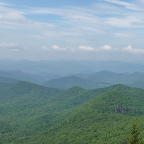 Blue Ridge Mountains with Tree