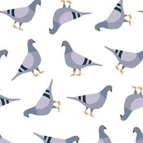 pigeon pattern small