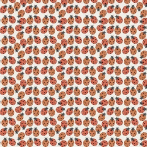 Ladybug mini