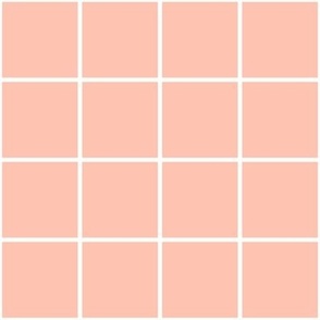 Blush Pool Tile