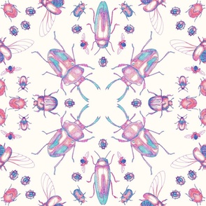 Colourful Crosshatched Kaleidoscope Beetles, white background, large