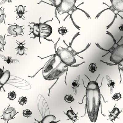 Crosshatched Kaleidoscope Beetles, monochrome