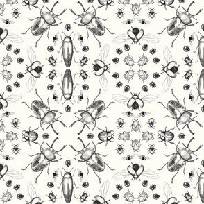 Crosshatched Kaleidoscope Beetles, monochrome