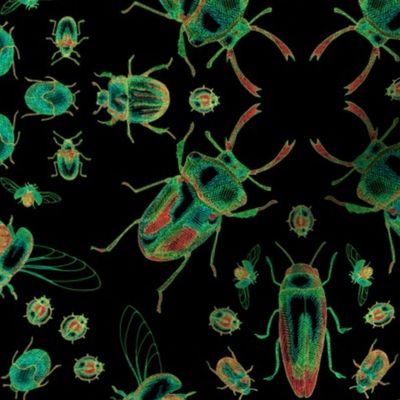 Psychedelic Kaleidoscope Beetles, back background