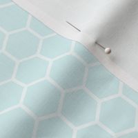 Pale Blue Honeycomb Coordinates with Classic Pooh Collection