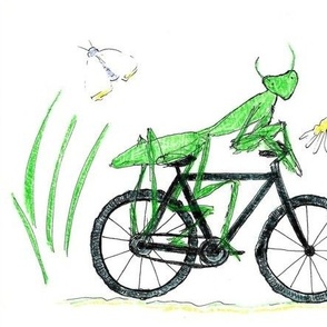 Praying Mantis Bike Ride