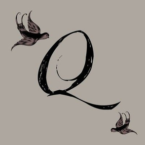 Q is for Quinn