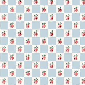 Strawberry Checkers/coral and light blue/small