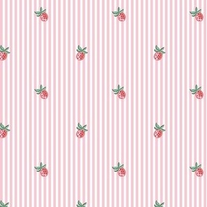 strawberry pinstripes/coral and pink/small 