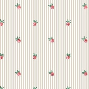 strawberry pinstripes/coral and birch/small