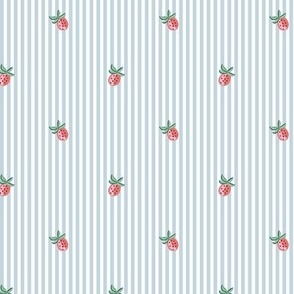 strawberry pinstripes/coral and blue/small 