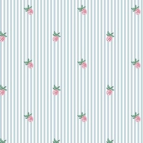strawberry pinstripes/light blue/small 