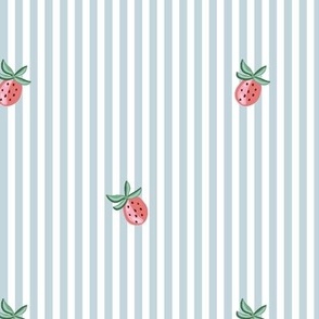 strawberry pinstripes/coral blue/medium 
