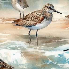 Shore Birds - Watercolor - New for 2023