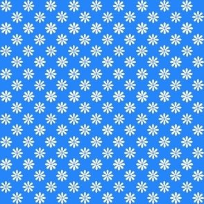 Medium blue background with white daisy - 1’ small 