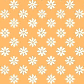 White Daisies Orange background - 2” 