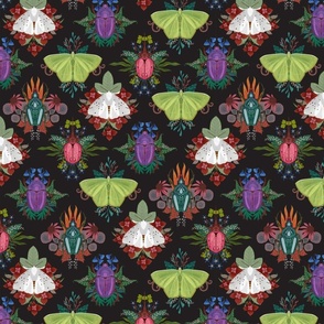 Moth and Beetle Wallpaper on Slate