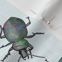 Green bug on graph pattern