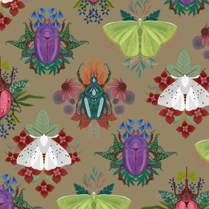 Moth and Beetle Wallpaper on Greige