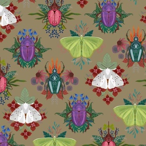 Moth and Beetle Repeat on Greige