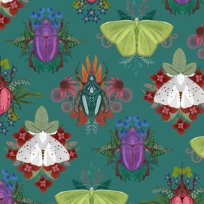 Moth and Beetle Wallpaper on Turquoise