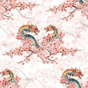 Sakura Dragons 2
