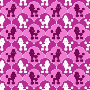 Dollhouse Poodle Wallpaper