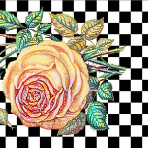 Yellow Rose on Checkerboard-black