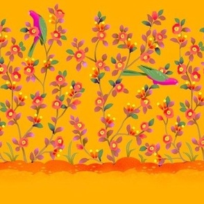 King Parrot Rose Veranda - Saffron