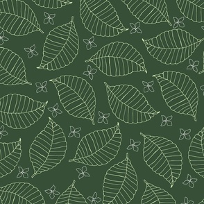 Hydrangea Leaf and Flowers - Green