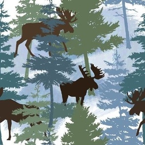 Moose in Winter Forest