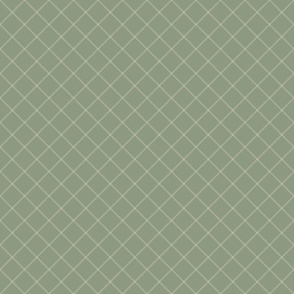 Barely Checked Light Green