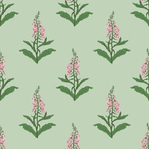 Small Painterly Pink Foxglove Wildflowers with Pastel Green Background