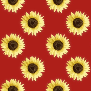 sunflower-red