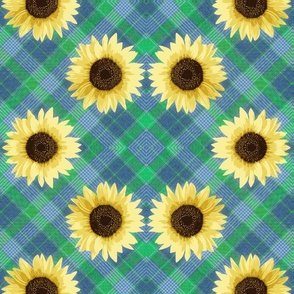 sunflower-blue plaid