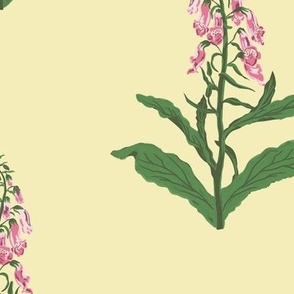 Large Painterly Pink Foxglove Wildflowers with Butter Yellow Background