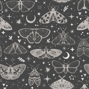 Moth to the stars dark