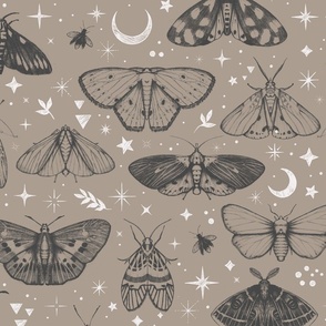 Moth to the stars pencil on paper