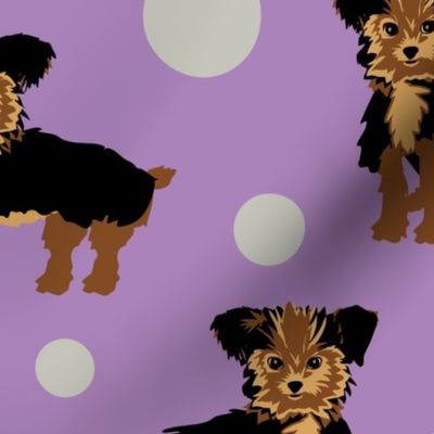 Yorkshire Terrier | Purple with Gray Dots