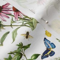 14" antique hand painted herbs and medicinal plants with butterflies and pink wildflowers peas,and grasses on white background-for home decor Baby Girl   and  nursery fabric perfect for kidsroom wallpaper,kids room