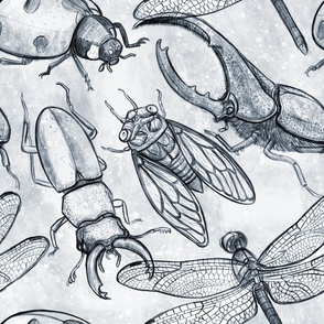 The Entomologist's Sketchbook