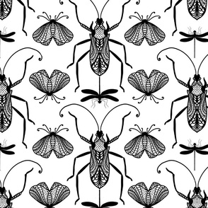 Cicada Ant Moth Black And White Doodle Drawing Pattern Black On White