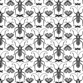 Cicada Ant Moth Black And White Doodle Drawing Pattern Black On White Smaller Scale