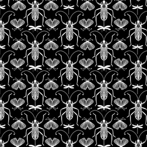 Cicada Ant Moth Black And White Doodle Drawing Pattern White On Black Smaller Scale