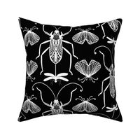 Cicada Ant Moth Black And White Doodle Drawing Pattern White On Black